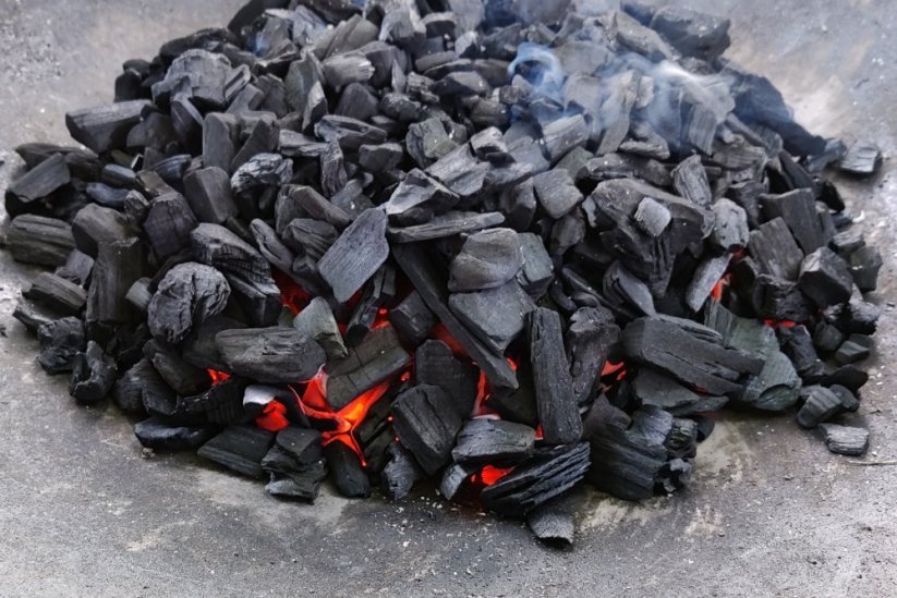 Hořící dřevěné uhlí