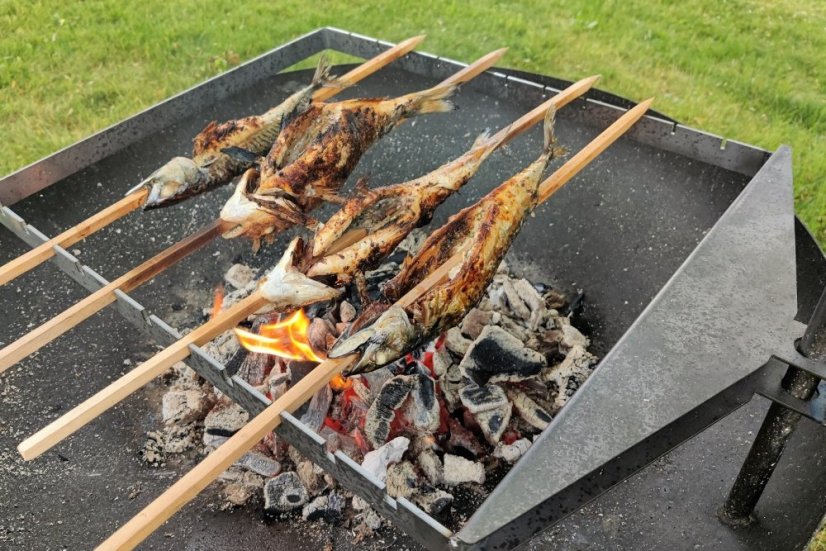 Gril na šašlik, špízy a ryby